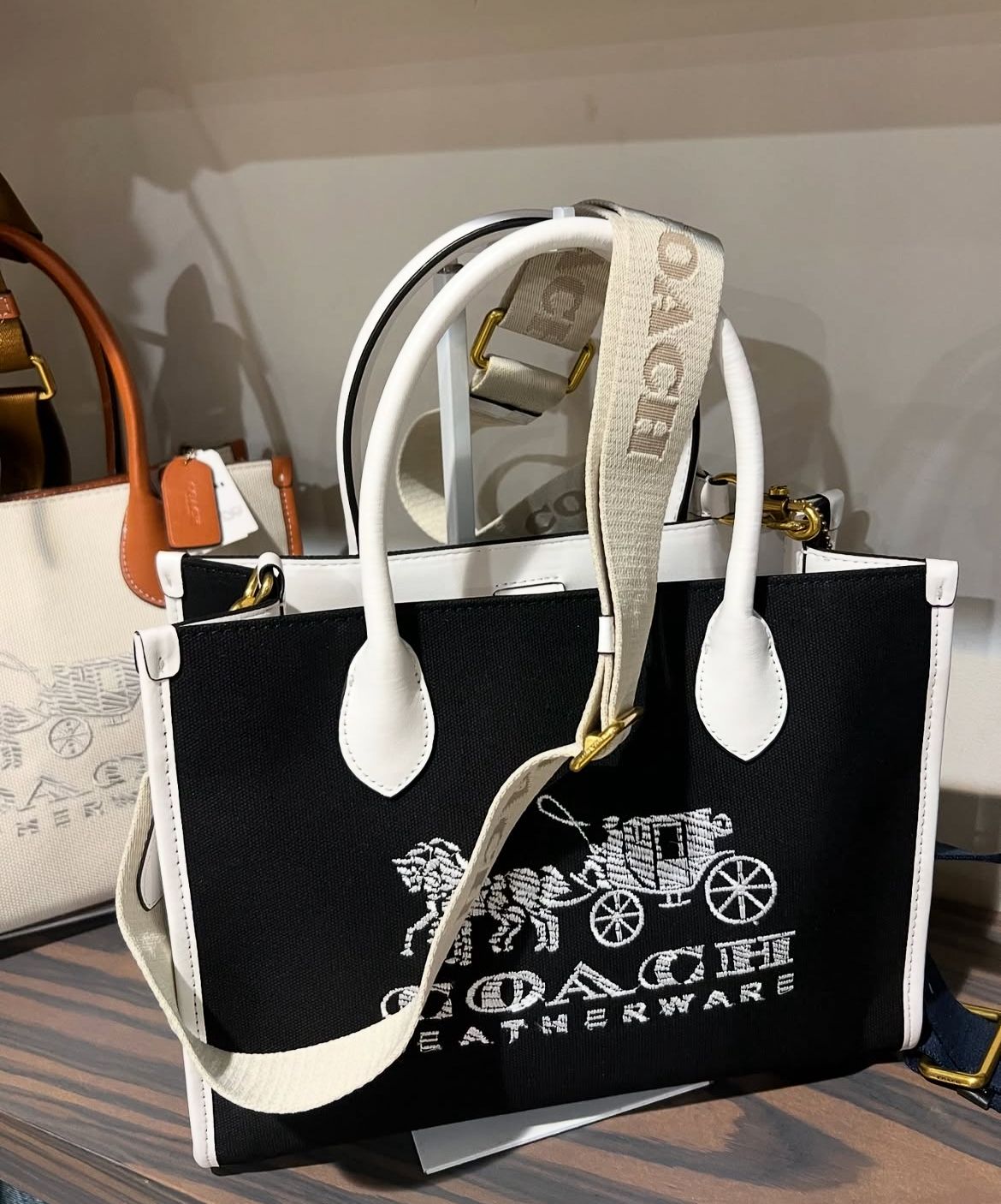 Coach Ace Tote 26 Canvas