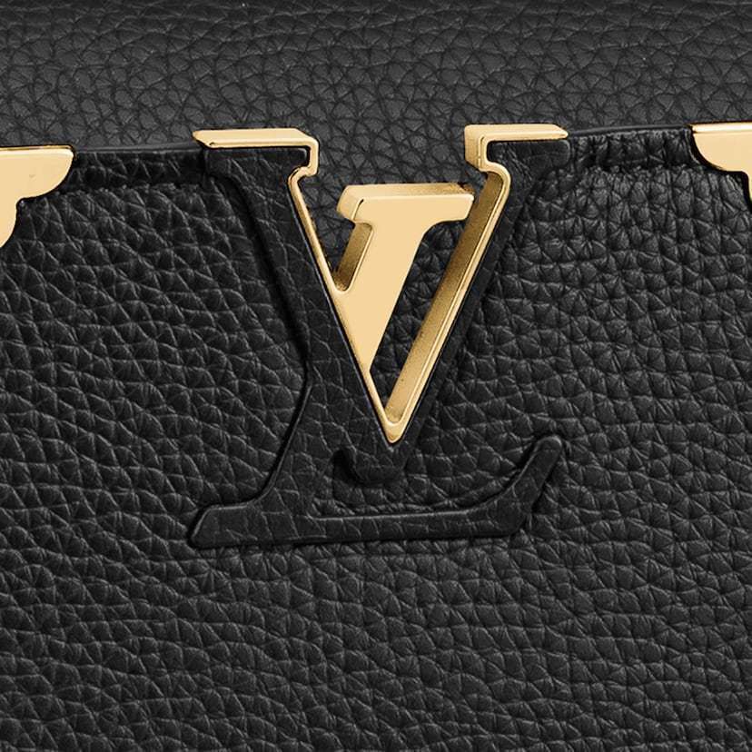 LOUIS VUITTON |Taurillon Embellished